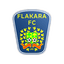 FC Făleşti logo