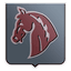 FC Grănicerul Glodeni logo