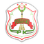 FK Rýzaevka logo