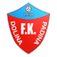 FK Dolina Padina logo