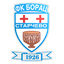 FK Borac Starčevo logo
