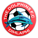 The Dolphins
