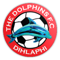 The Dolphins FC