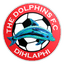 The Dolphins FC logo