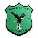 Super Eagles FC