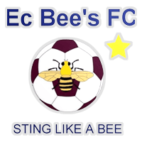 Eastern Cape Bees Football Club
