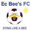 Eastern Cape Bees Football Club logo