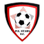 Port Elizabeth Stars Football Club logo