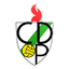 C.D. Pamplona logo