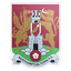 Northampton Town logo