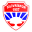 Silivrispor logo