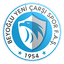 Beyoğlu Yeni Çarşı Spor Faaliyetleri A.Ş. logo