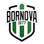 Bornova 1877 Sportif Yatırımlar A.Ş logo