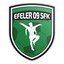 Efeler 09 Spor Futbol Kulübü logo