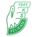 Pelikan Łowicz