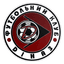 Dinaz Vyshhorod logo