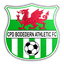 CPD Boded logo