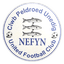 Nefyn United logo