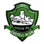 Castell Alun Colts logo