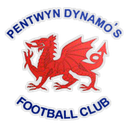 Pentwyn Dynamos