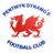 Pentwyn Dynamos