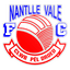 Nantlle Vale logo