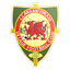 Llansantffraid Village logo
