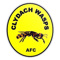 Clydach Wasps