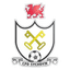 CPD Sychdyn logo