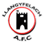 Llangyfelach logo