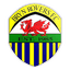 Bryn Rovers logo