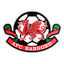 AFC Bargoed logo
