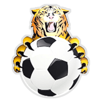 Menai Bridge Tigers