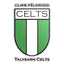 Talysarn Celts logo