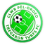 Tregaron Turfs logo