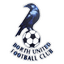 Borth United logo
