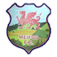 Meifod logo