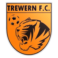Trewern United