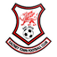 Saltney Town logo