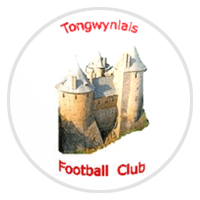 Tongwynlais AFC