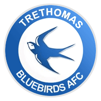 Trethomas Bluebirds