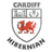 Cardiff Hibs
