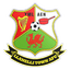 Llanelli Town logo
