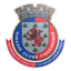 Ginásio Figueirense logo