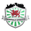 Caerphilly Athletic logo