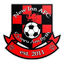New Inn AFC logo