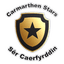 Carmarthen Stars logo