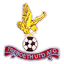Treboeth United logo