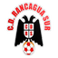 Club Deportivo Rancagua Sur logo