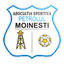 CSM Moineşti logo